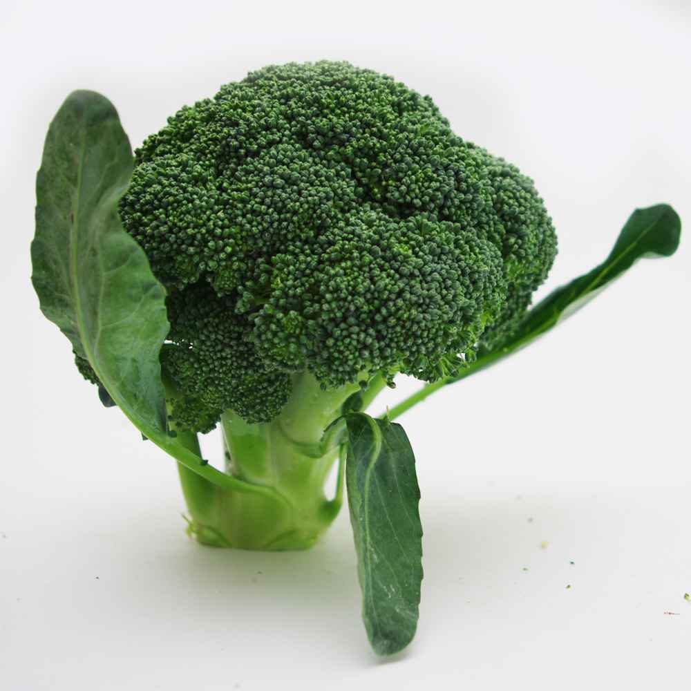 蔬菜名称：
			      【燎原特惠】西兰花 绿花菜 绿色种植绿色无公害蔬菜新鲜青菜顺丰